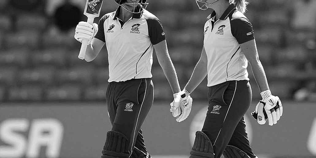 The Blank Ledger: Auditing a Cricket Report That Arrived With Zero Input The Blank Ledger: Auditing a Cricket Report That Arrived With Zero Input